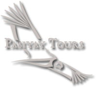 Pasiyay Logo